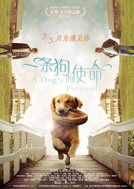 女生尿尿的视频
