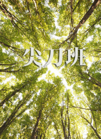 热辣宝贝